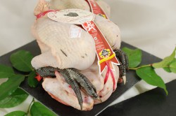 Poulet fermier noir de Challans
