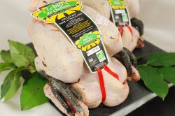 Poulet fermier biologique noir de Challans