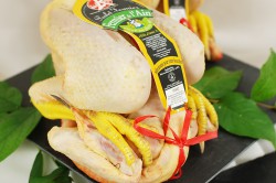 Poulet fermier jaune de l'Ain